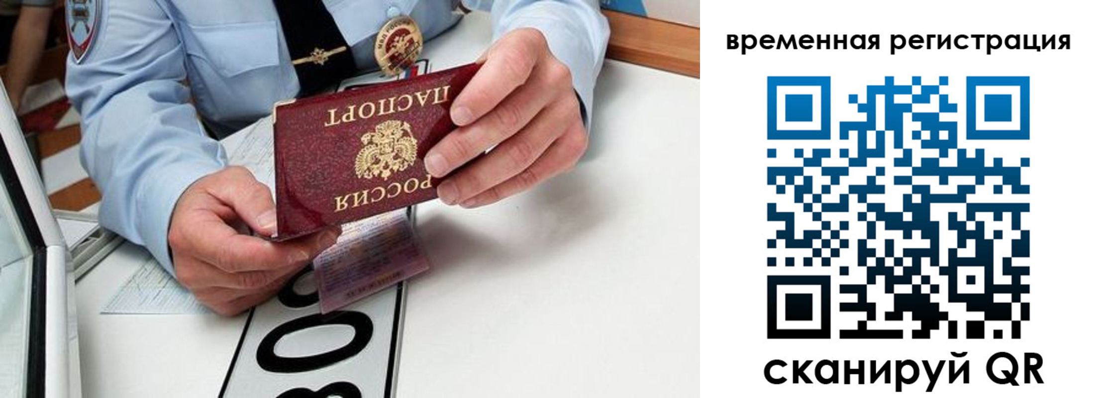 прописка гарантия в Цимлянске